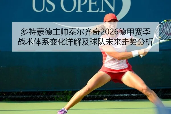 多特蒙德主帅泰尔齐奇2026德甲赛季战术体系变化详解及球队未来走势分析